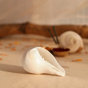 Divine Hindu Jal Shankha