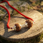 Lakshmi Narayan Kavach