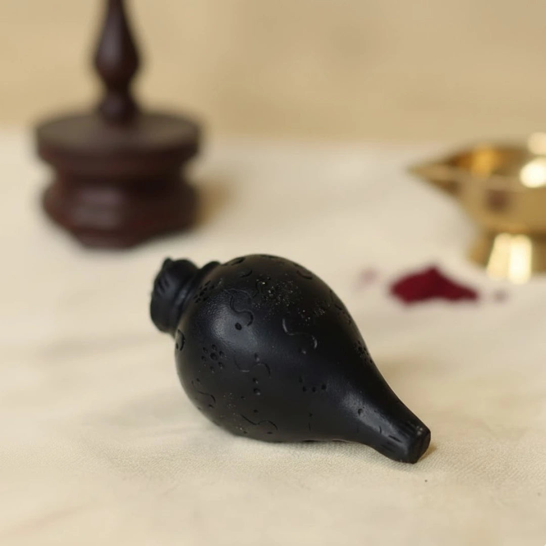 Karungali Shankh (for puja)