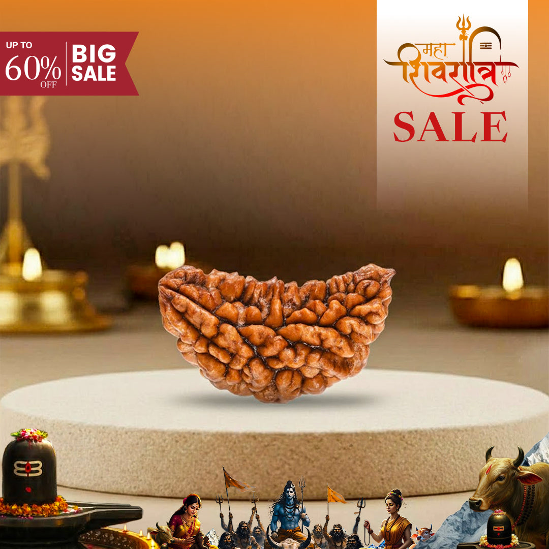 1 Mukhi Lab Certified Rudraksha