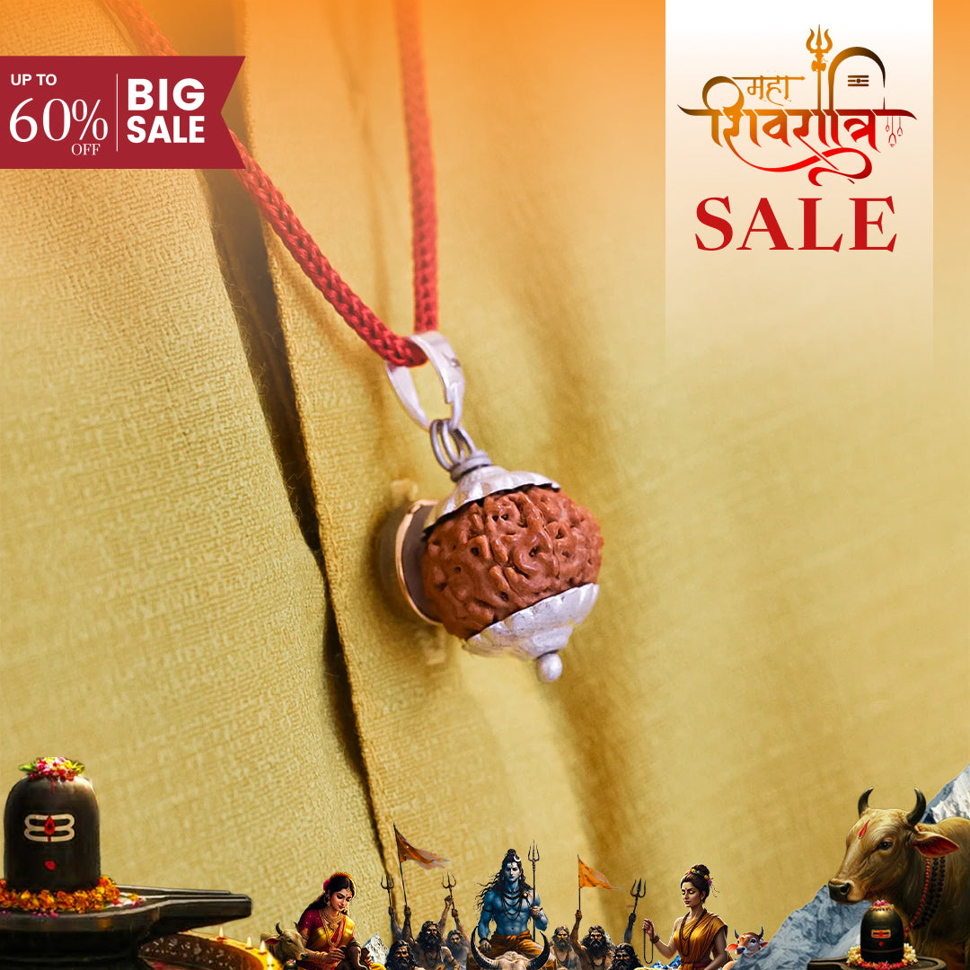 7 Mukhi Premium Rudraksha