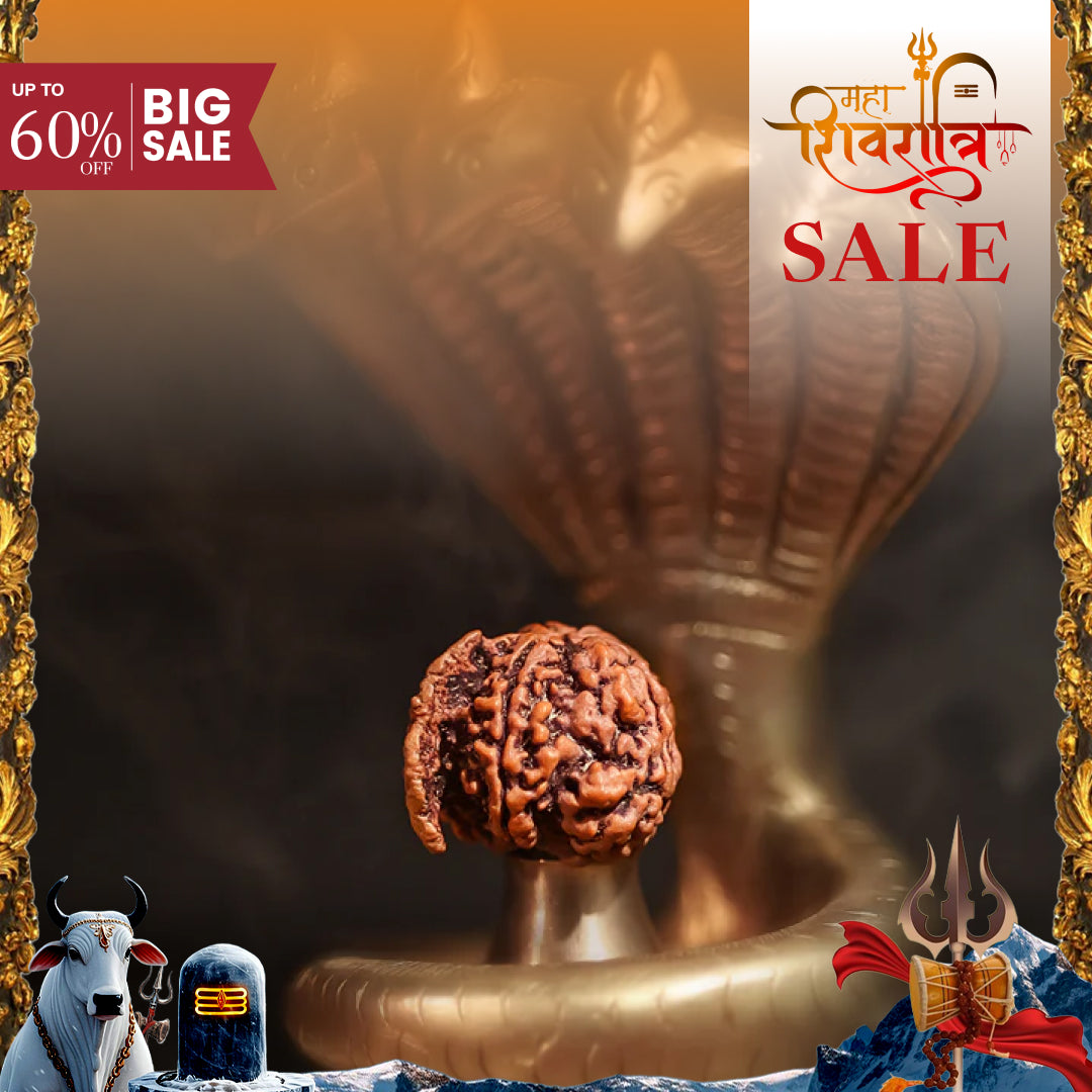 Ganesh Mukhi Rudraksha