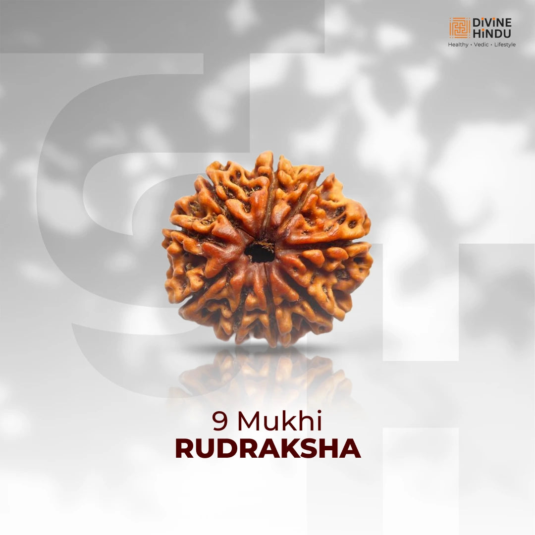 9 Mukhi Lab Tested Certified Rudraksha
