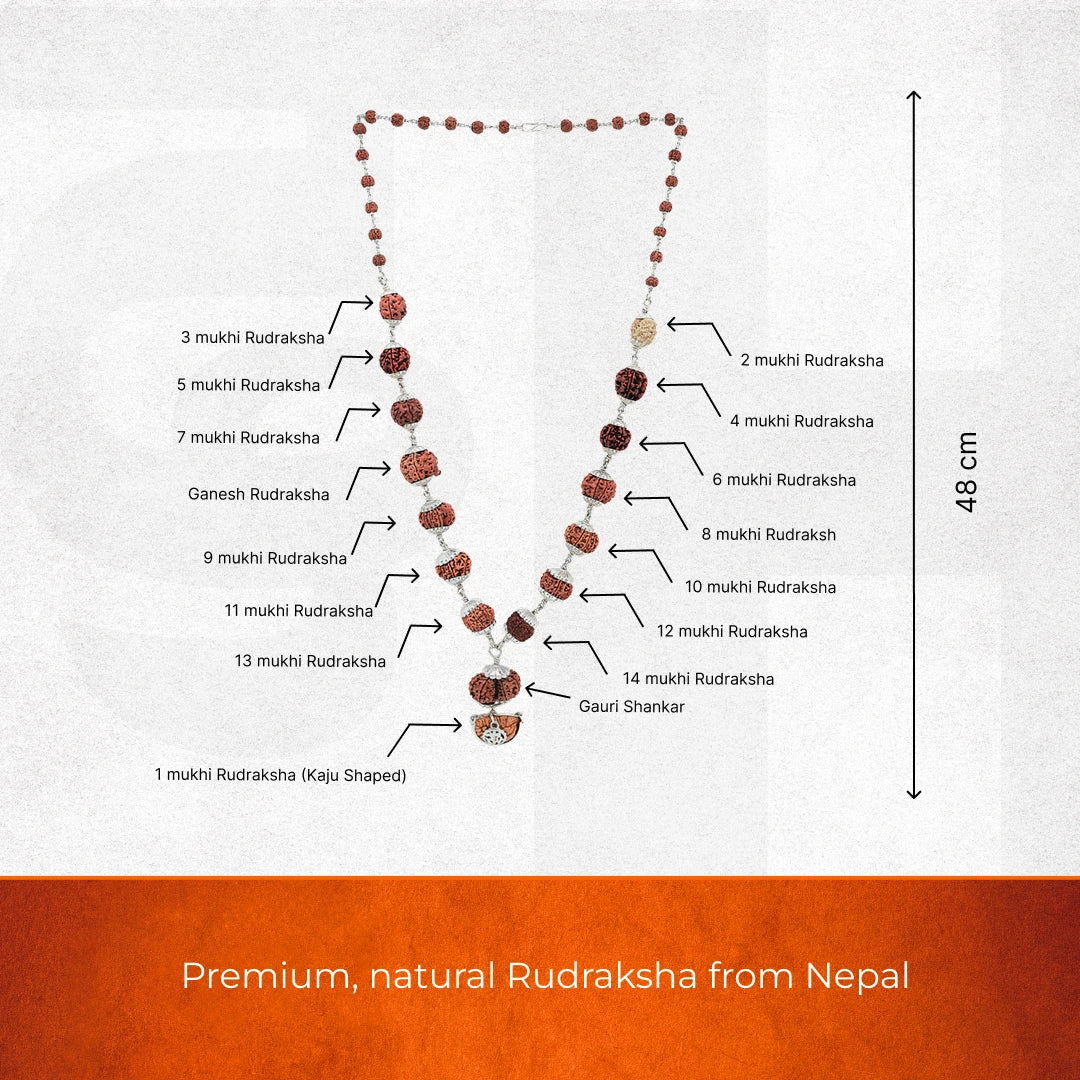 1–14 Mukhi Rudraksha Siddha Mala – Nepal Origin | With Ganesh Mukhi & Gaurishankar