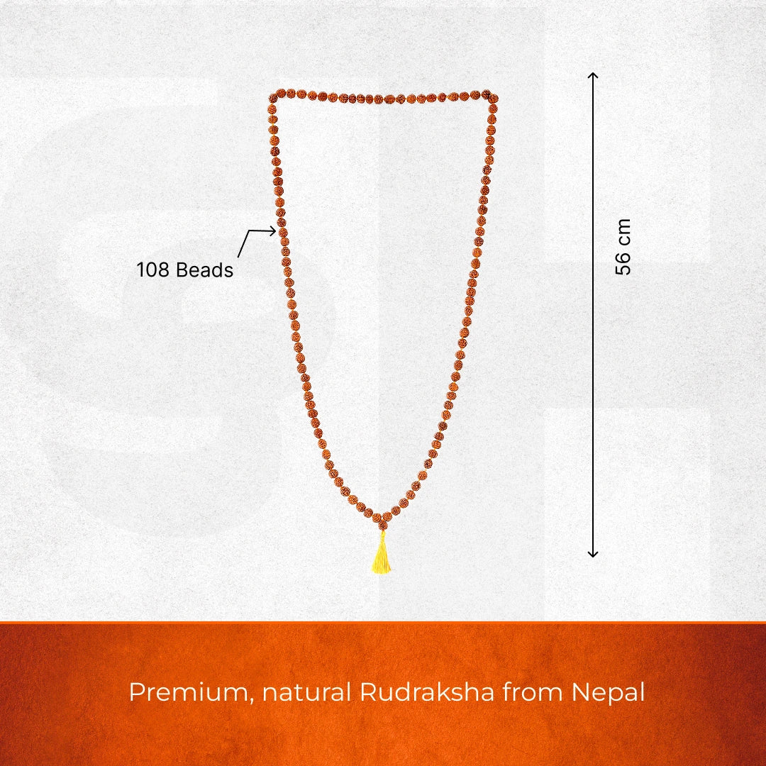 108 Beads Rudraksha Jaap Mala