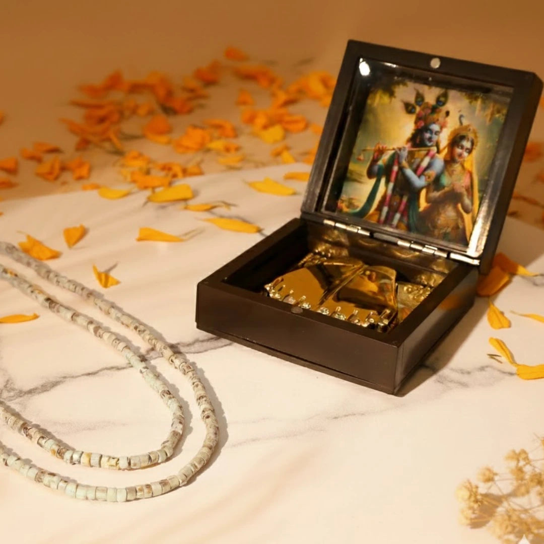 Krishna Bhakti Combo