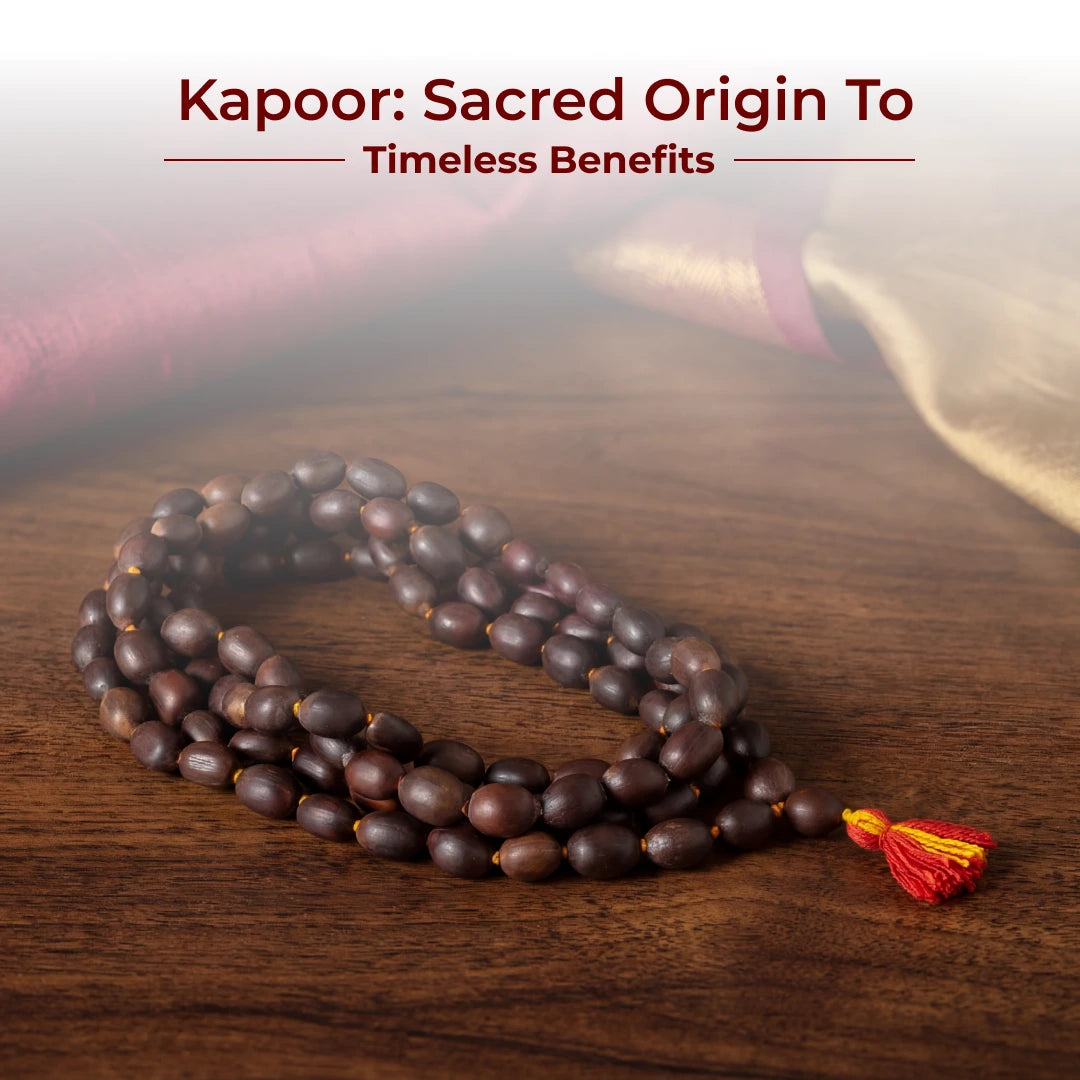 Divine Hindu Lotus Seed Jaap Mala 108 Beads (Kamal Gatta)