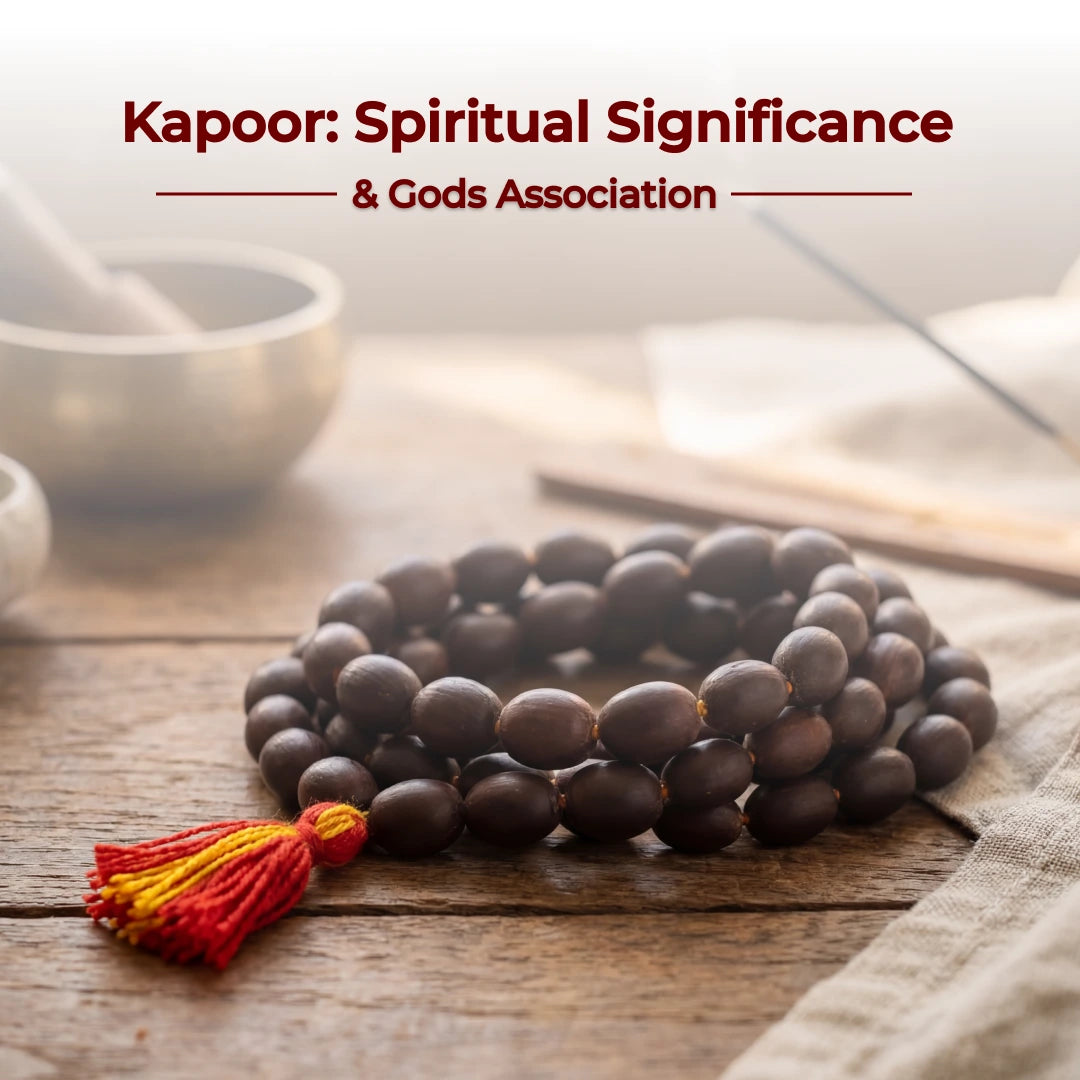 Divine Hindu Lotus Seed Jaap Mala 108 Beads (Kamal Gatta)