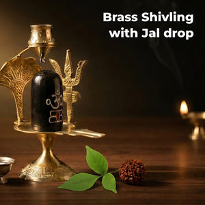 Brass Shivling with Jal drop