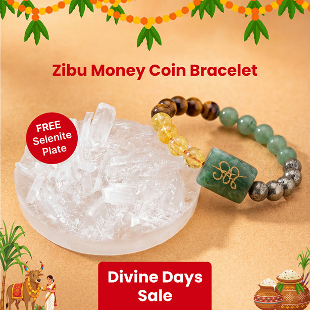 Zibu Money Coin Bracelet with FREE Selenite Plate