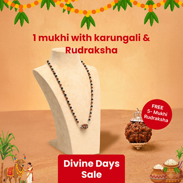 1 Mukhi Rudraksha & Karungali Pendant with Silver Cap