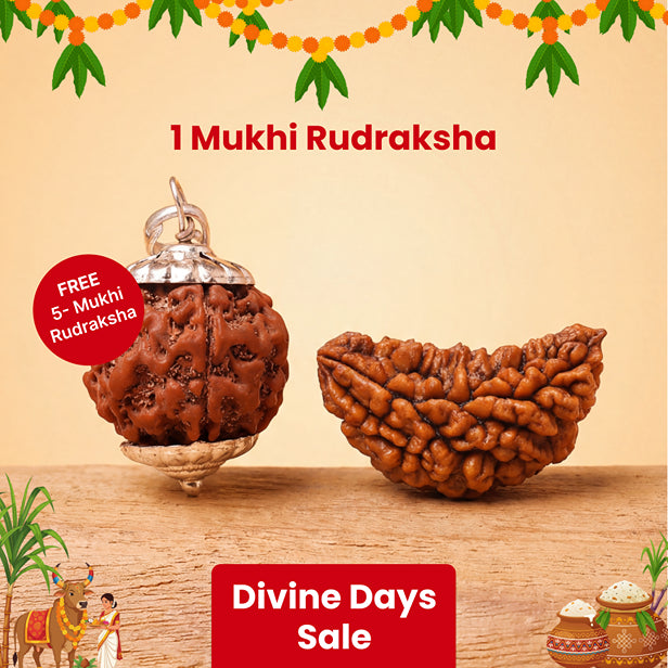 1 Mukhi Lab Certified Rudraksha