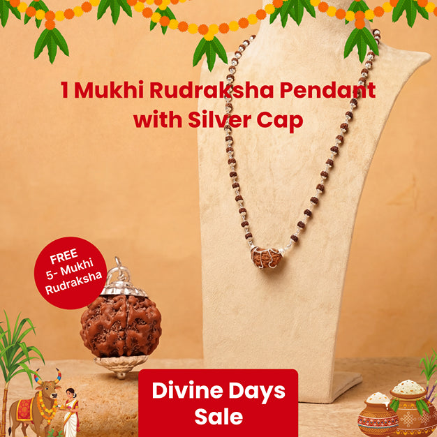 1 Mukhi Rudraksha Pendant with Silver Cap