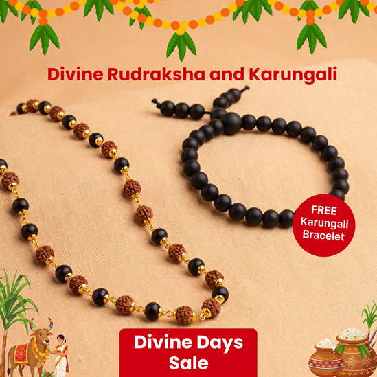 Divine Rudraksha and Karungali with FREE Karungali Bracelet