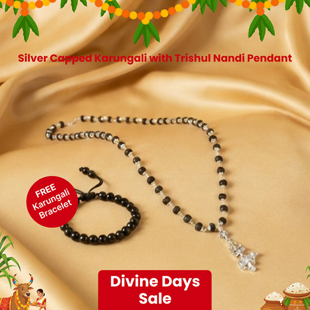 Silver Capped Karungali with Trishul Nandi Pendant with FREE Karungali Bracelet