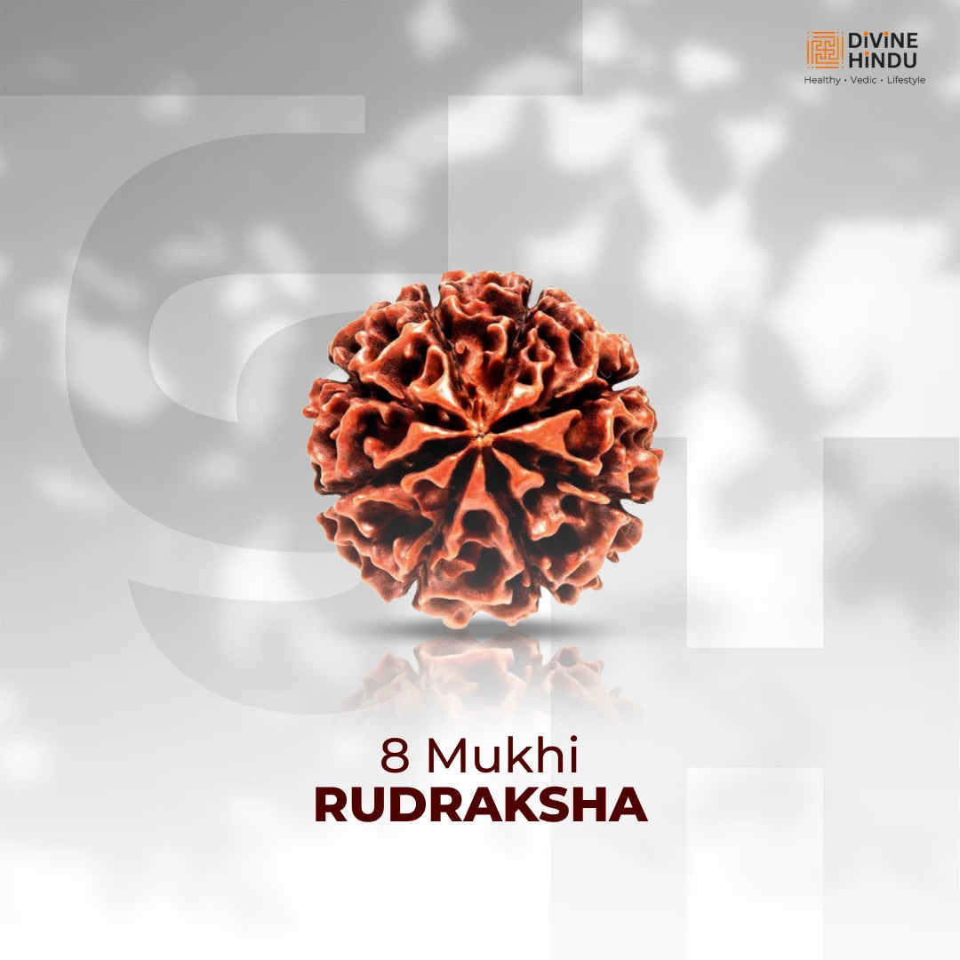 8 Mukhi Lab Tested Certified Rudraksha