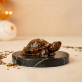 Golden Drishti Tiger Eye Turtle - Wealth & Protection
