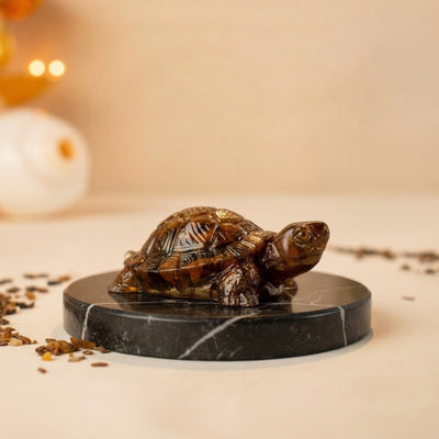 Golden Drishti Tiger Eye Turtle - Wealth & Protection