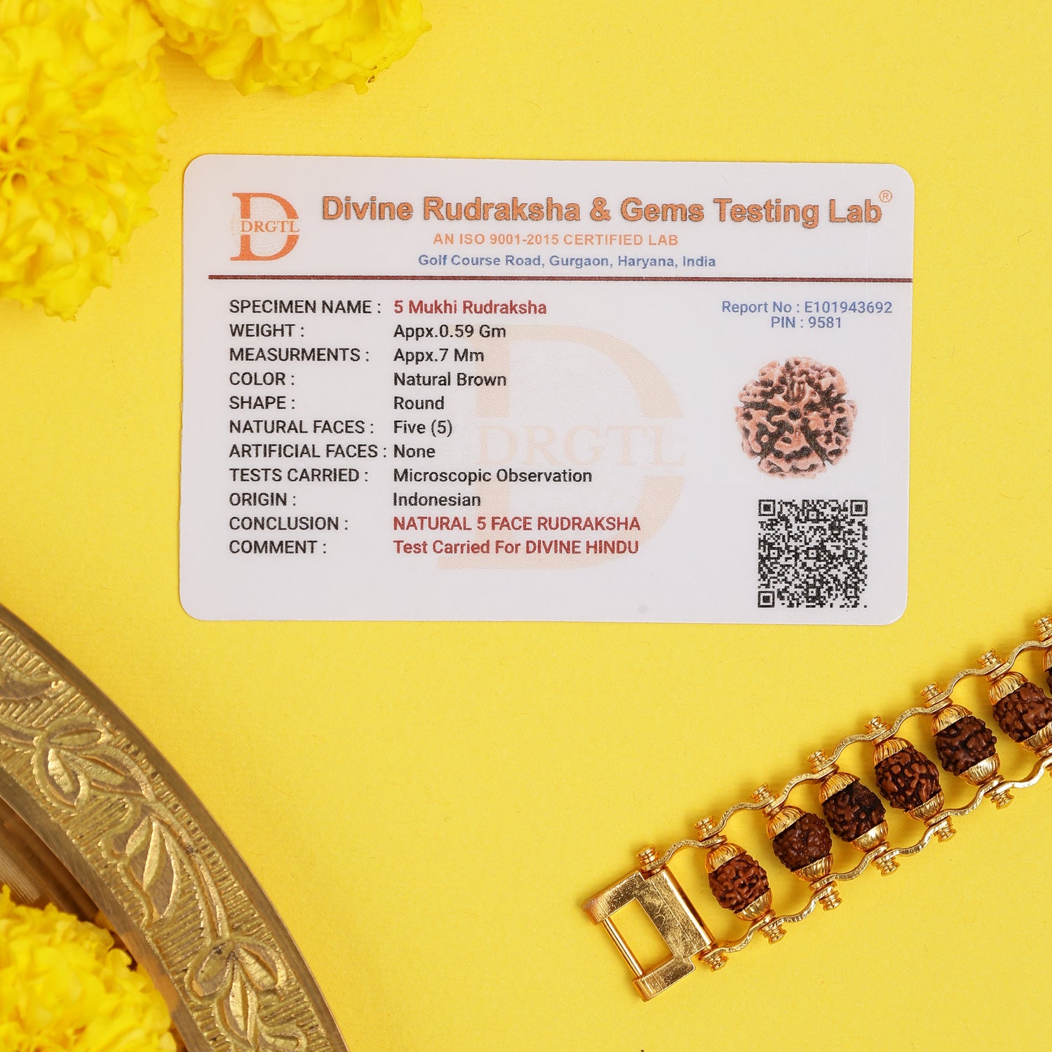 Gold Plated Rudraksha Chain Bracelet – 24 Beads, Lab Certified