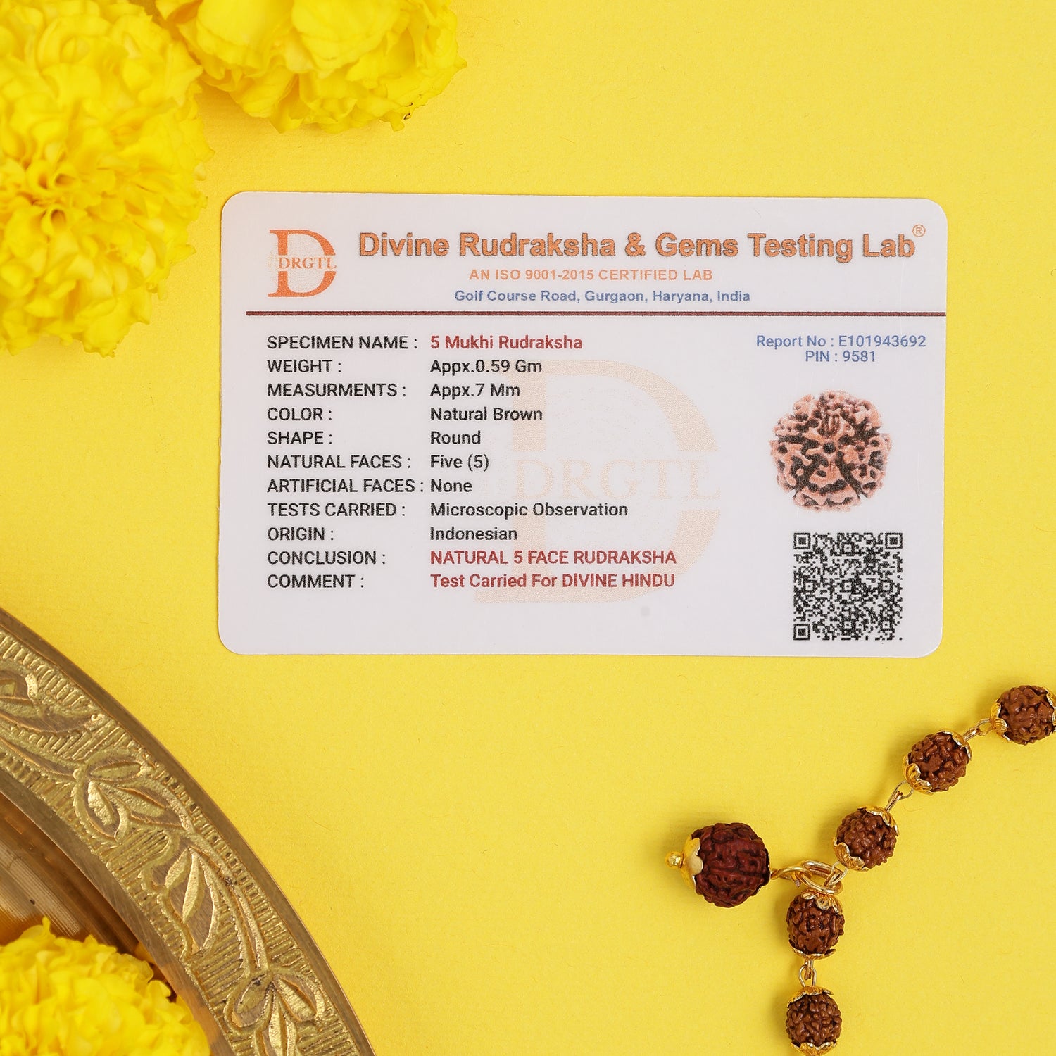 Golden Cap 5-Mukhi Rudraksha Bracelet For Women – Lab Certified