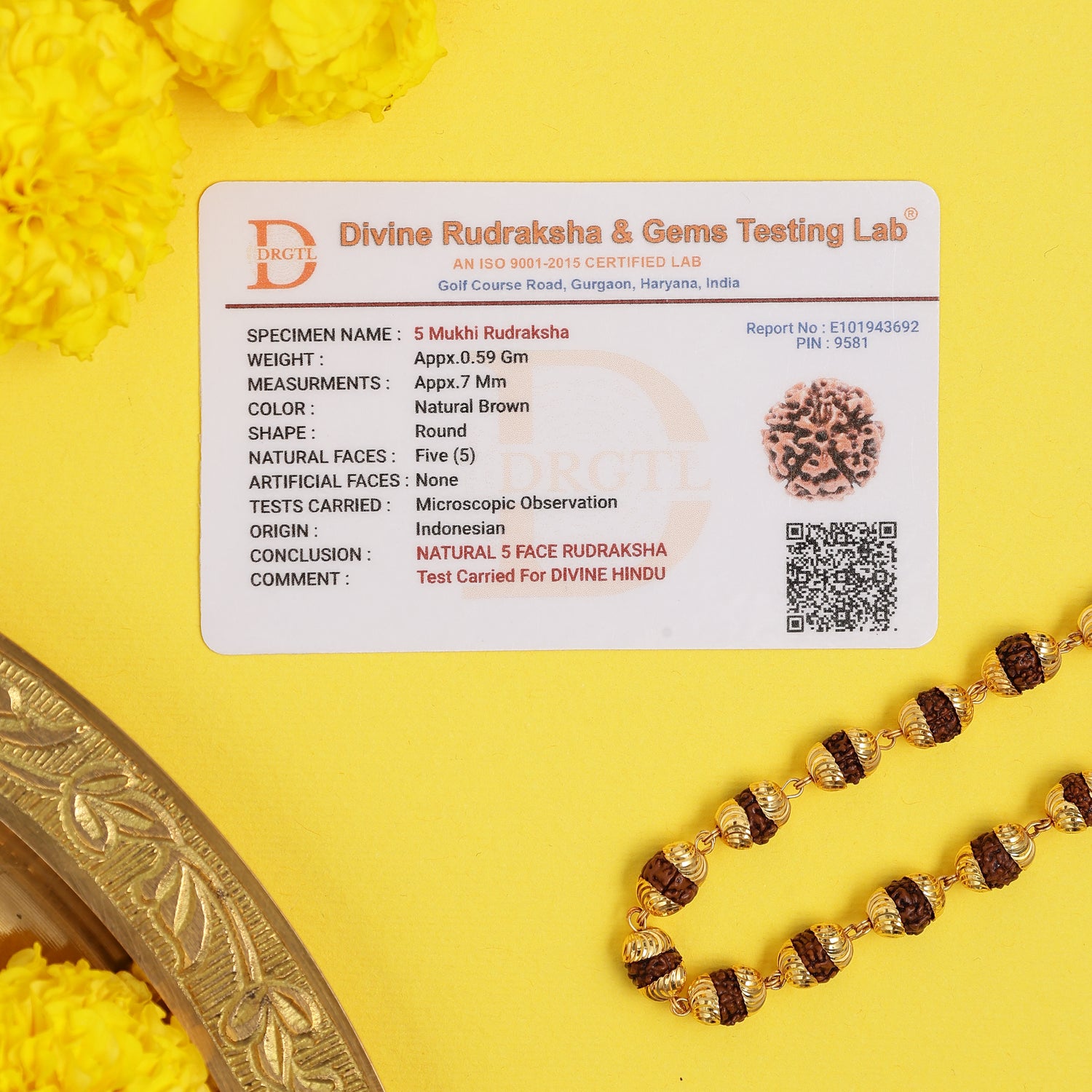 Golden Cap Rudraksha Necklace – 54 Beads, Lab Certified