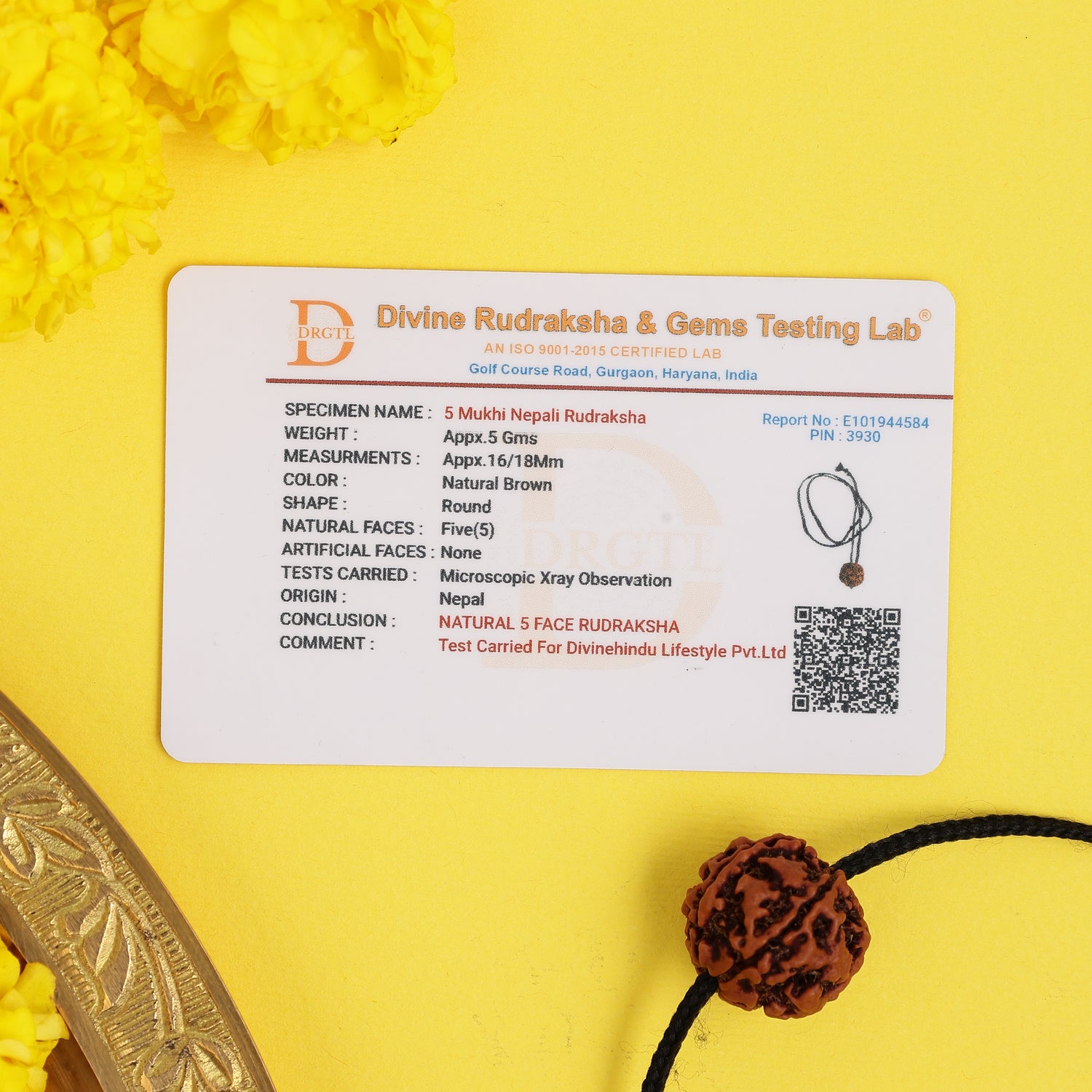 Natural 5 Mukhi Rudraksha – Nepali Origin, Lab Certified