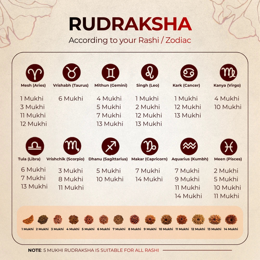 Natural 5 Mukhi Nepali Rudraksha