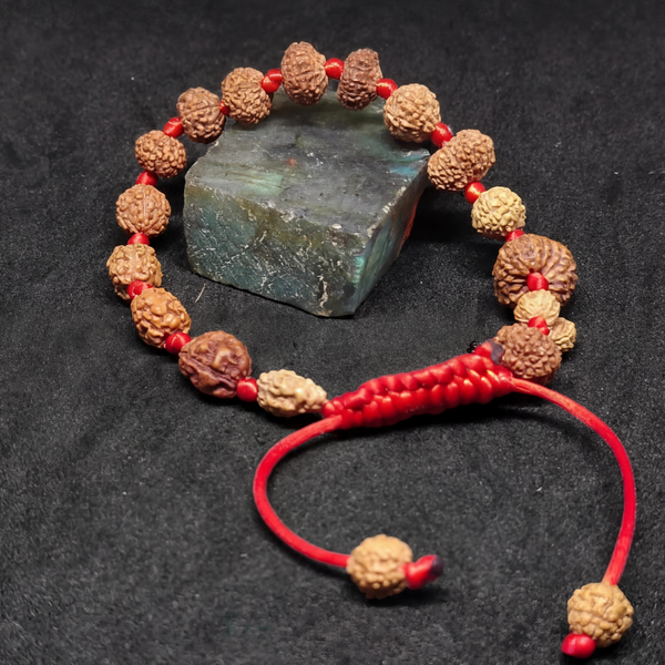 1-14 Mukhi Rudraksha Bracelet