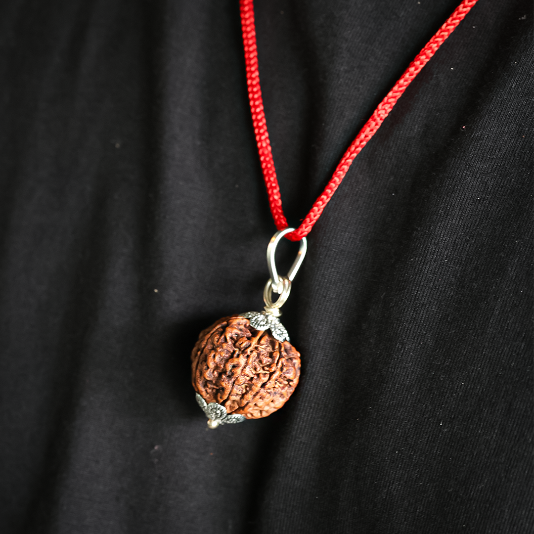 7 Mukhi Premium Rudraksha