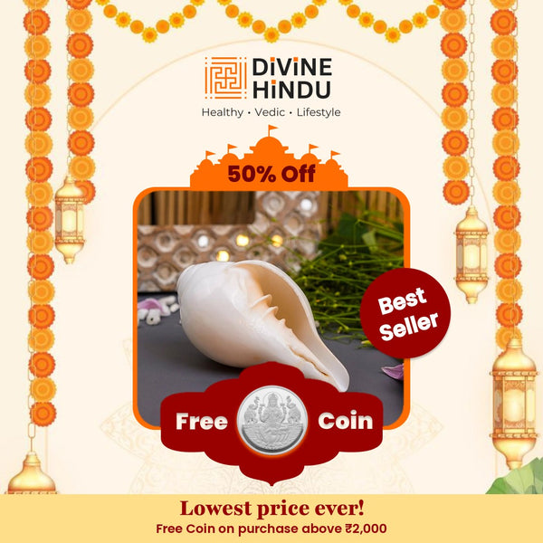 Divine Blowing Shankh