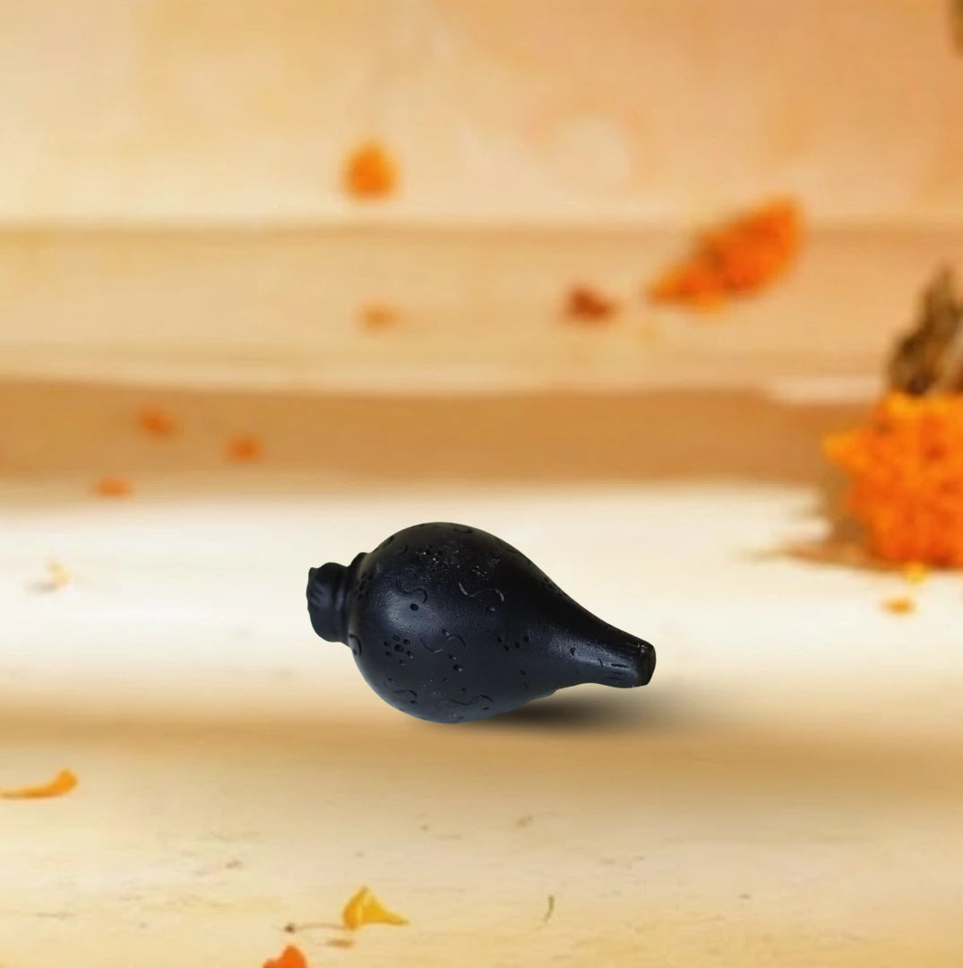 Karungali Shankh (for puja)