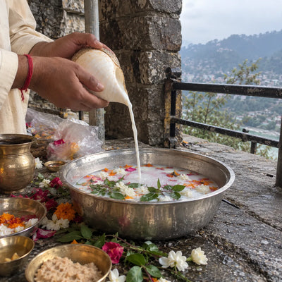 Milk poured from a conch with tulsi and Brahma Kamal flowers, Himalayan peaks behind