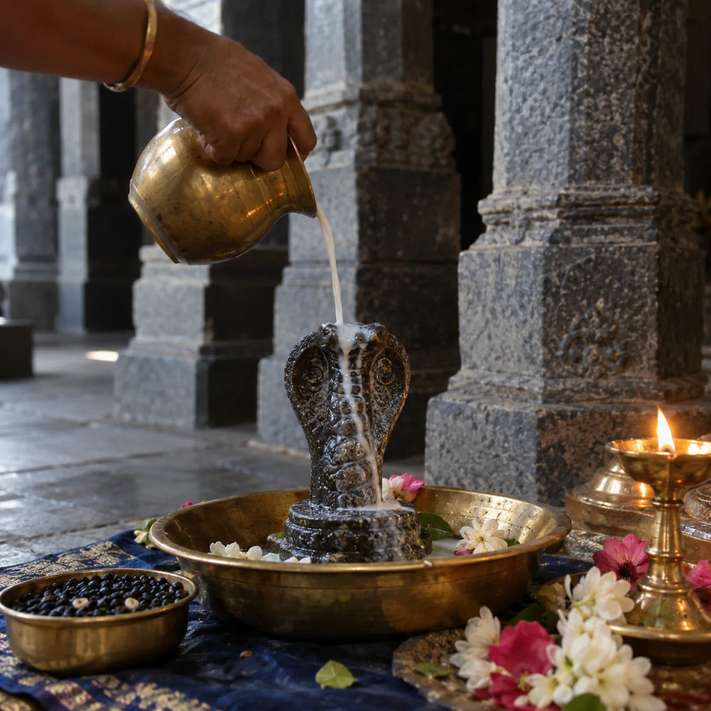 Rahu Milk Abhishekam — Naganathaswamy Temple, Thirunageswaram