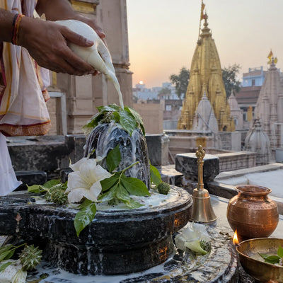 Milk poured from a conch over a Shivling with bilva and dhatura