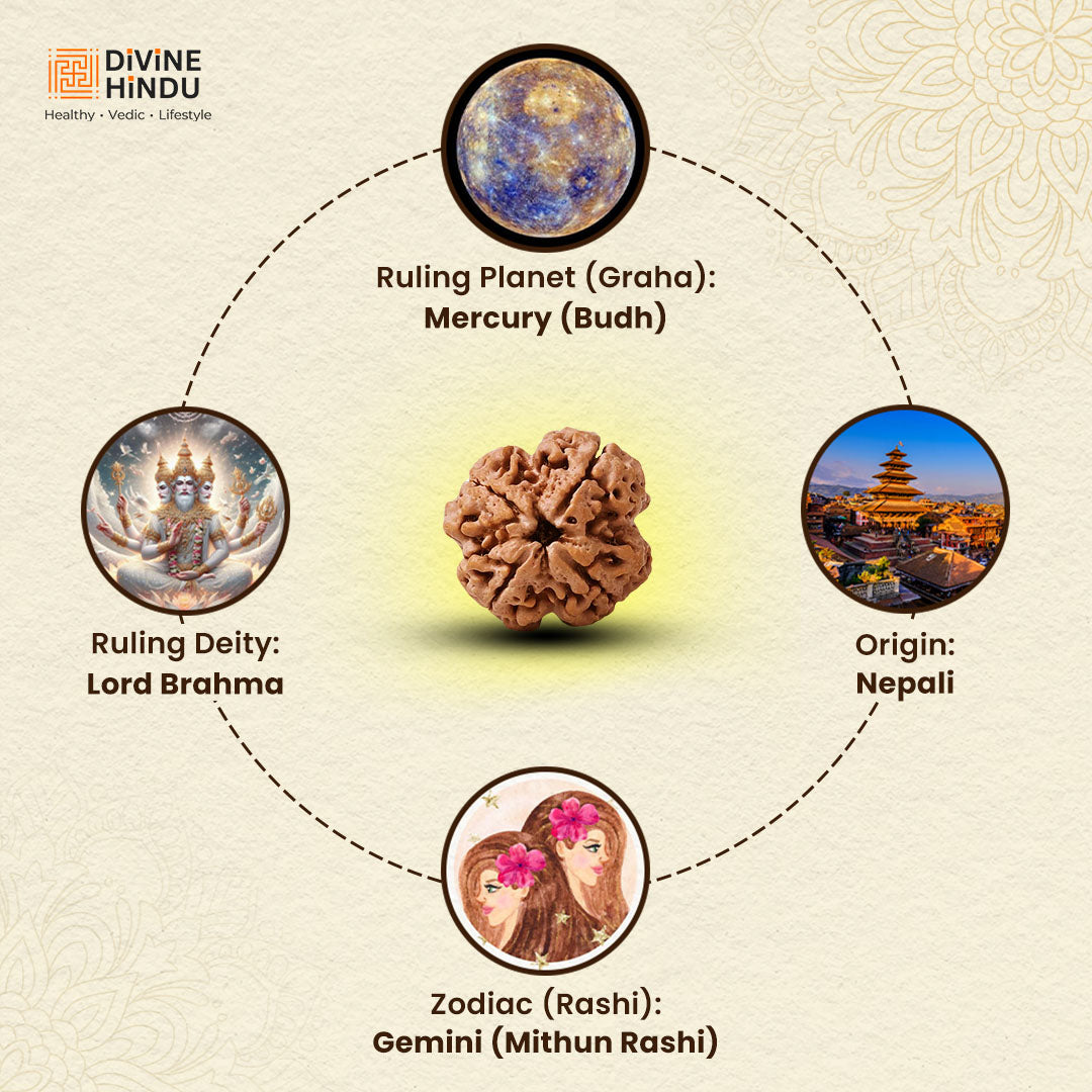4 Mukhi Lab Tested Certified Nepali Rudraksha