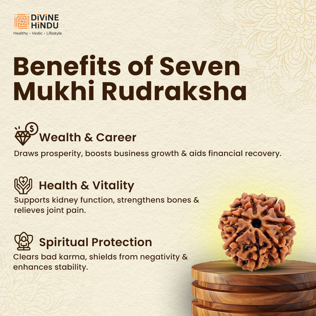 Benefits of 7 Mukhi Rudraksha | 7 Mukhi Rudraksha