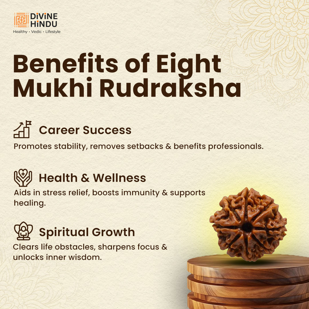 8 Mukhi Rudraksha | Rudraksha 8 Mukhi  | Benefits of 8 Mukhi Rudraksha | 