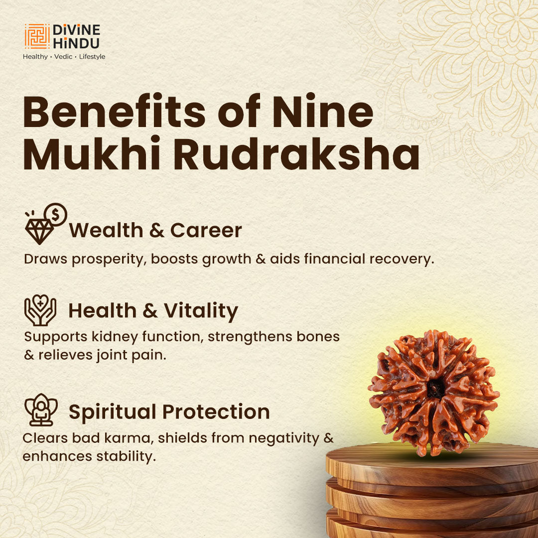9 Mukhi Rudraksha | Rudraksha 9 Mukhi  | Benefits of 9 MukhI Rudraksha  
