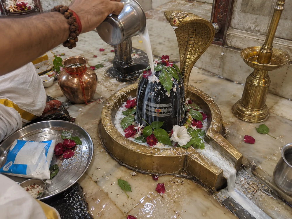Prem Milan Rudrabhishek: milk abhishek on the Shivling while Rudra mantras are chanted
