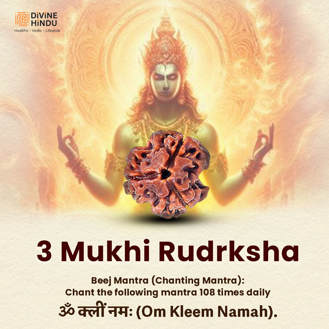 3 Mukhi Rudraksha | Beej Mantra 