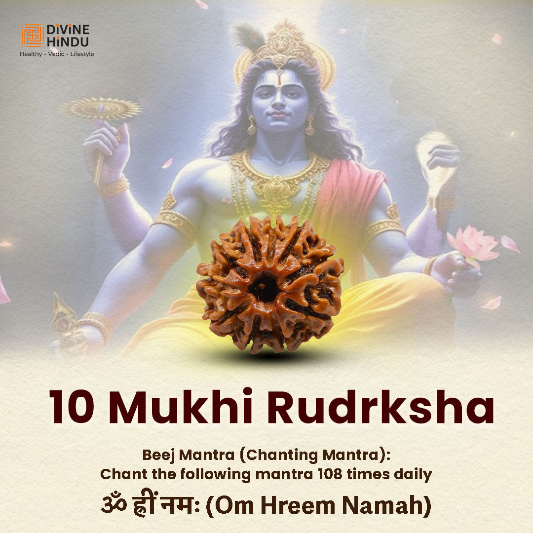 10 Mukhi Rudraksha | Rudraksha 10 Mukhi  | Beej Mantra 